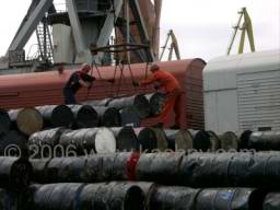 PICT8524 at zije ekologie.jpg